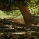 The First Tease for <i>A Quiet Place 2</i> Ushers in a Sinister Fall